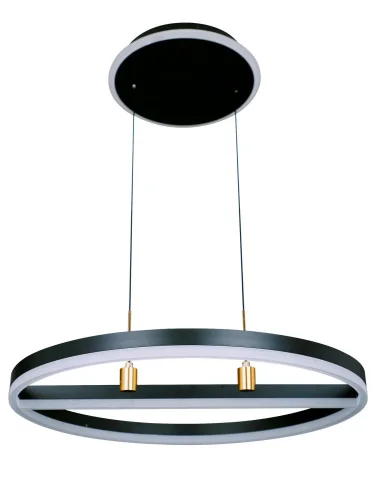 Люстра подвесная с пультом HIGH-TECH LED LAMPS 82048 Natali Kovaltseva чёрная на 1 лампа, основание чёрное в стиле современный хай-тек минимализм с пультом фото 5